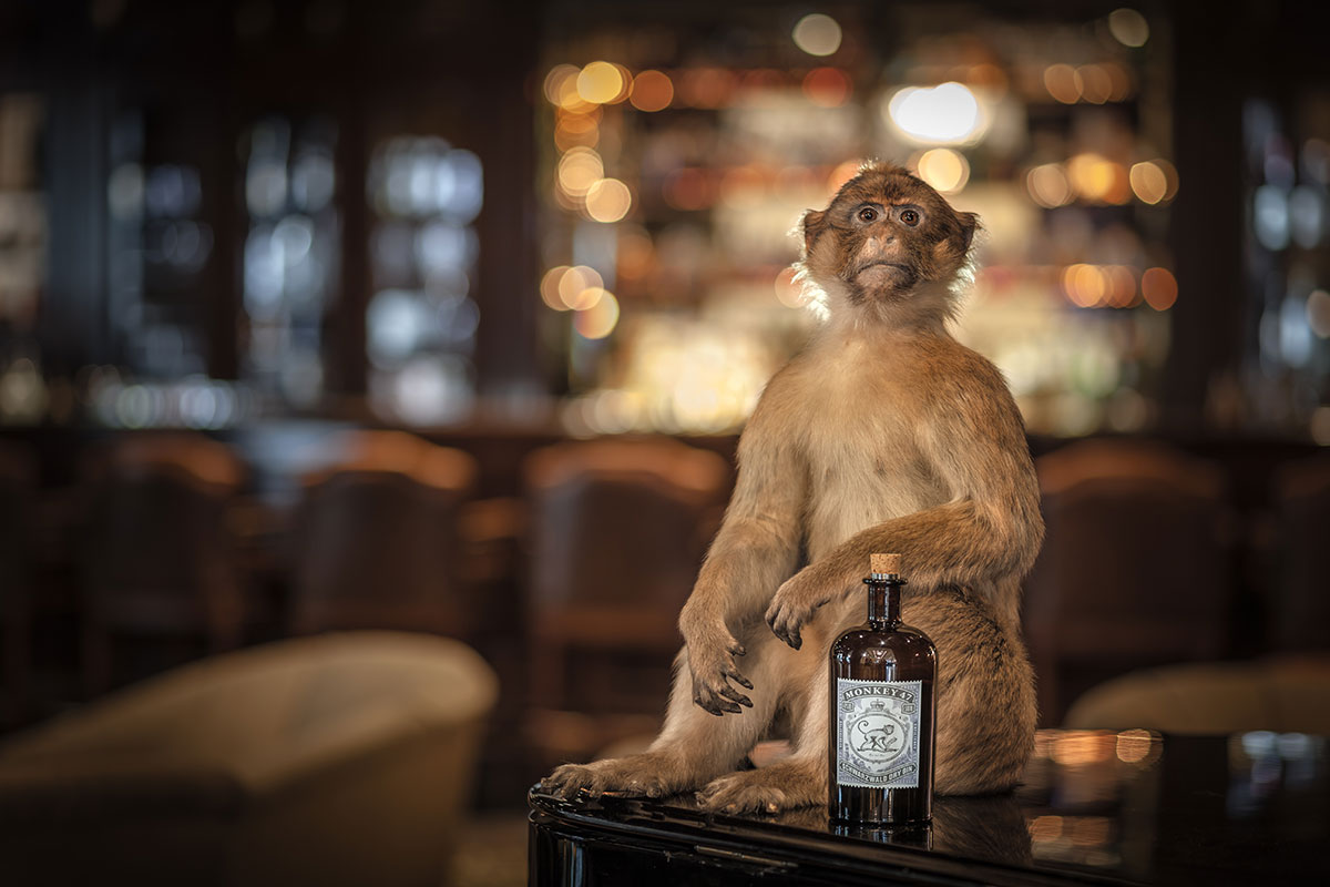 Monkey 47 Den fantastiske Plymouth Mr. Kings 1842 Recipe Gin