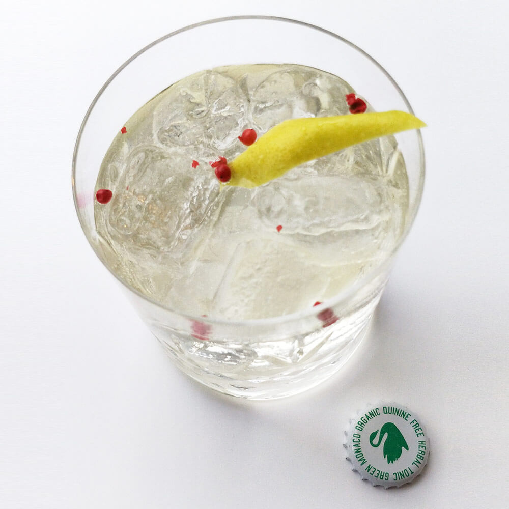 Brick Gin & Tonic