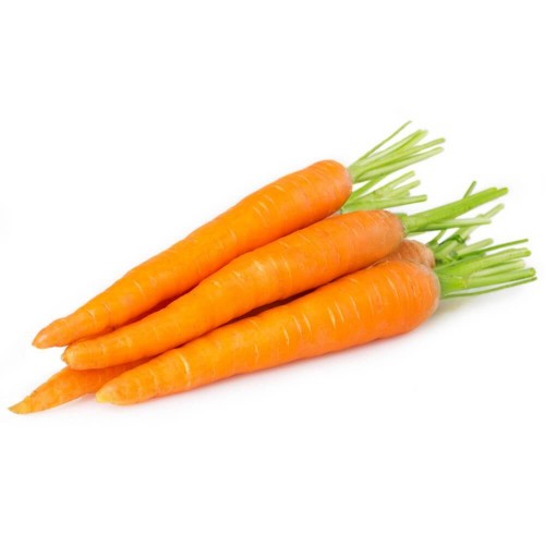 Carrot