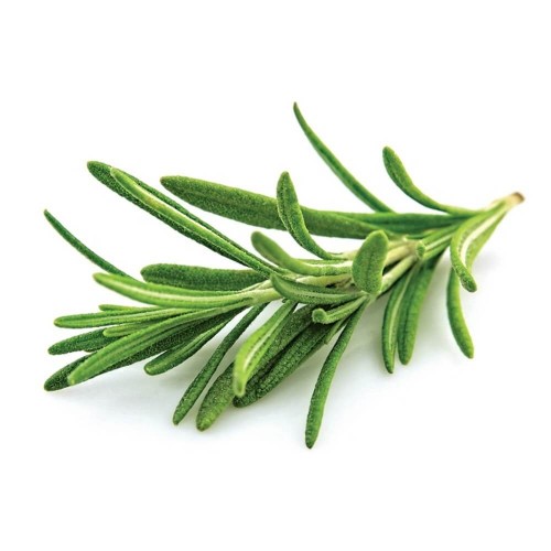 Rosemary