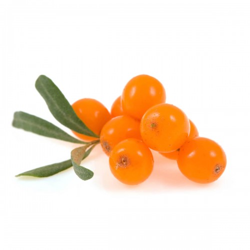 Sea Buckthorn